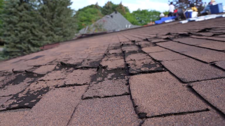 Fast & Reliable Emergency Roof Repairs in Monessen, PA